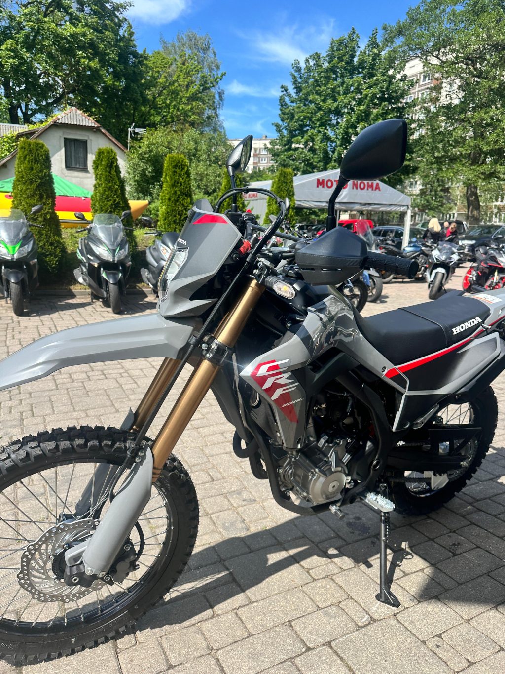 HONDA CRF300LA - Image 6